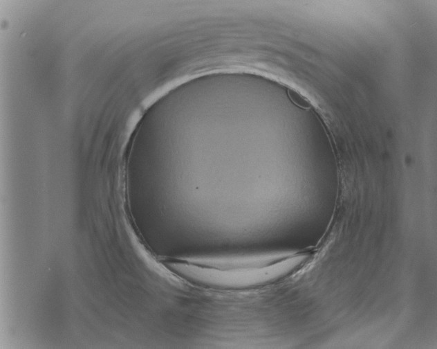 X0000073731526200608241244