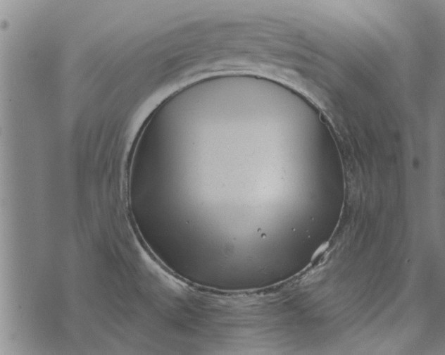 X0000073731527200608241244