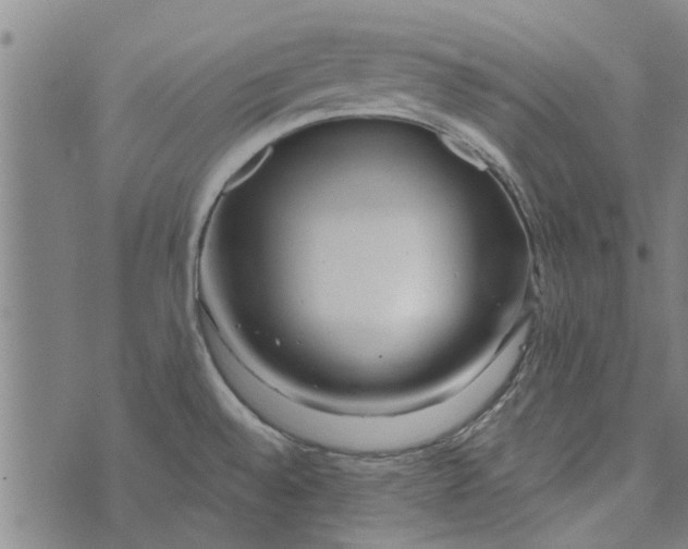 X0000073731528200608241244