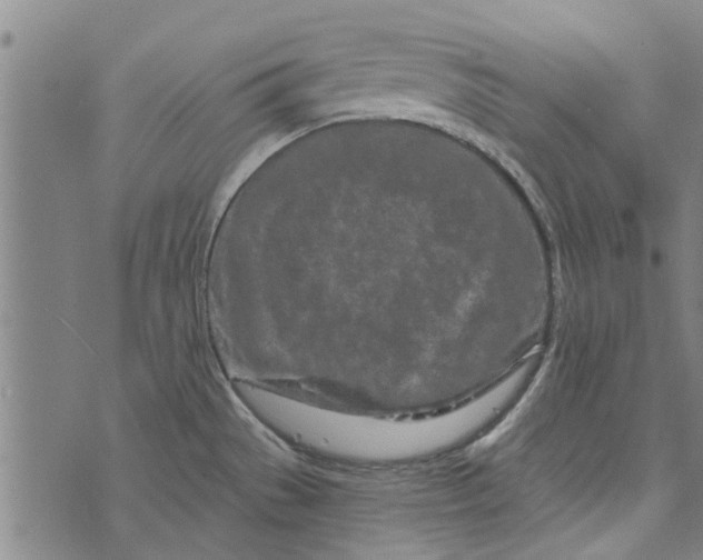 X0000073731529200608241244