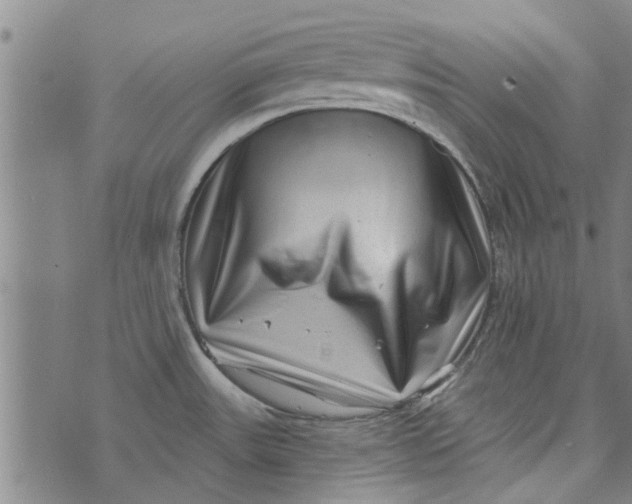 X0000073731531200608241244