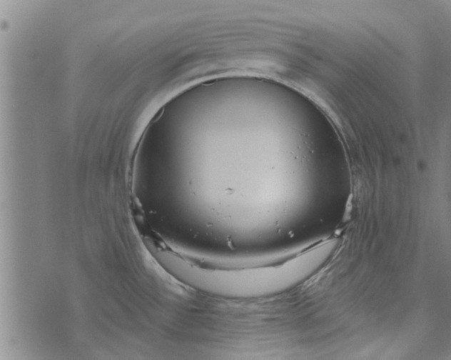 X0000073731532200608241244