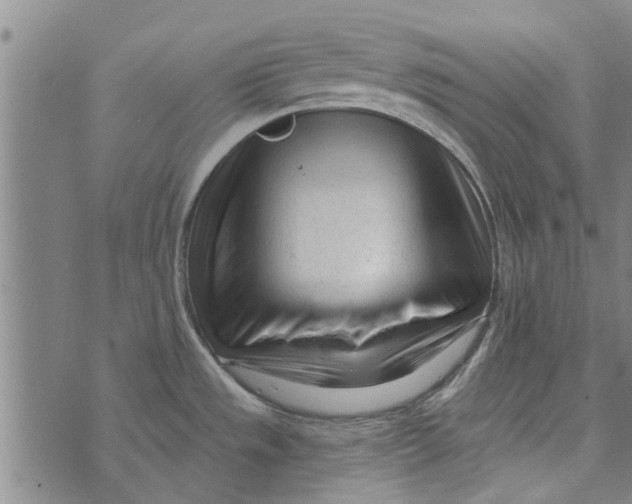 X0000073731533200608241244