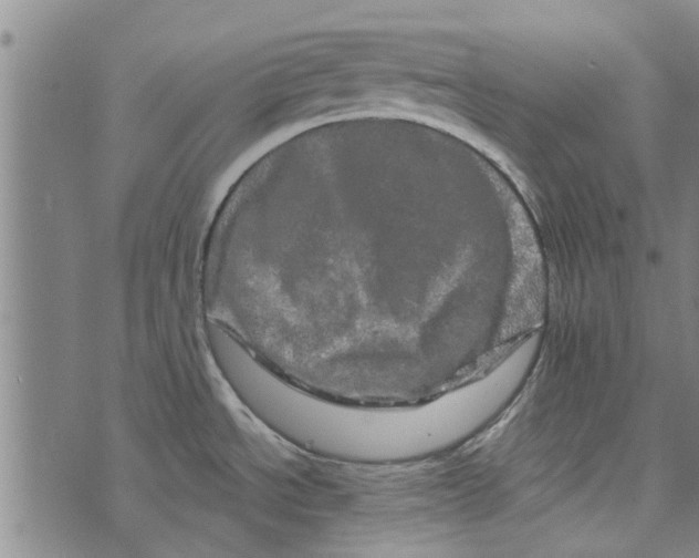 X0000073731534200608241244