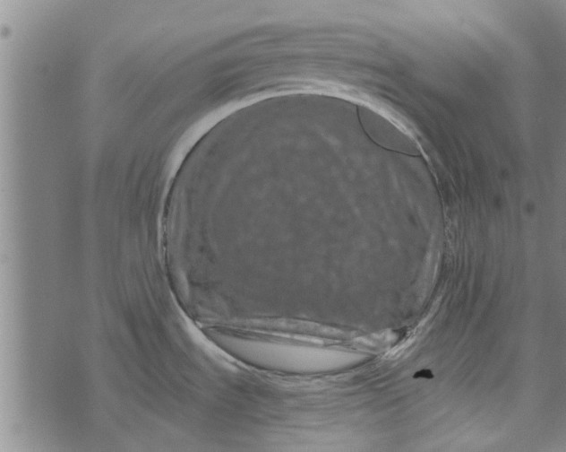 X0000073731535200608241244