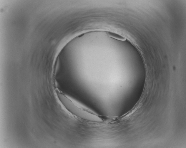 X0000073731536200608241244