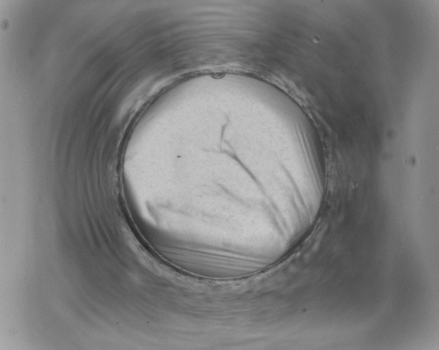 X0000073730002200608311857