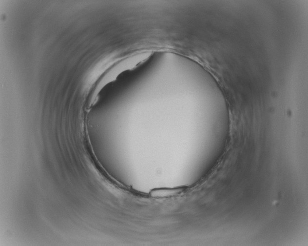 X0000073730005200608311856