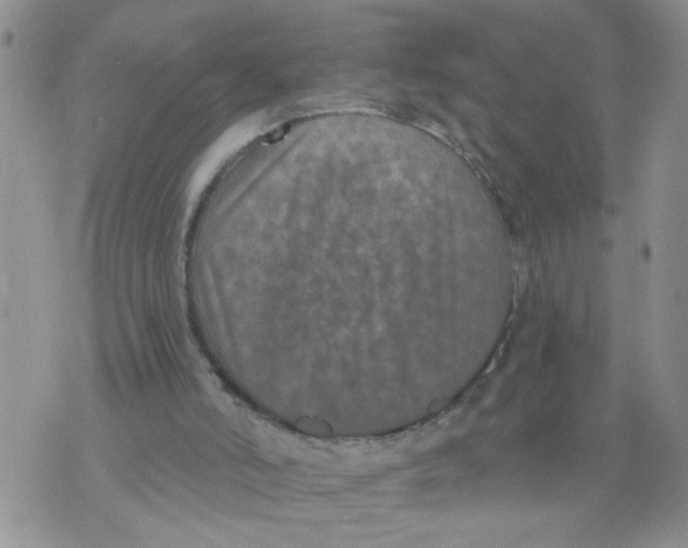 X0000073730006200608311856