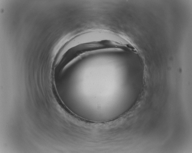 X0000073730007200608311856