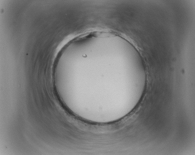 X0000073730008200608311856