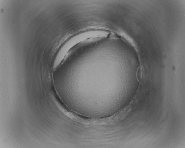 X0000073730009200608311856