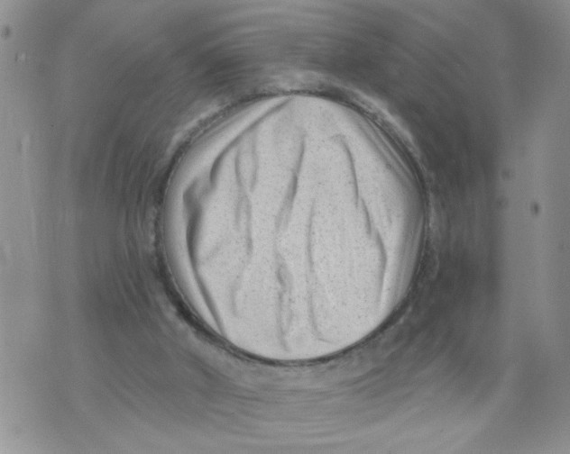 X0000073730010200608311856