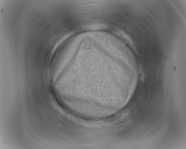 X0000073730012200608311856