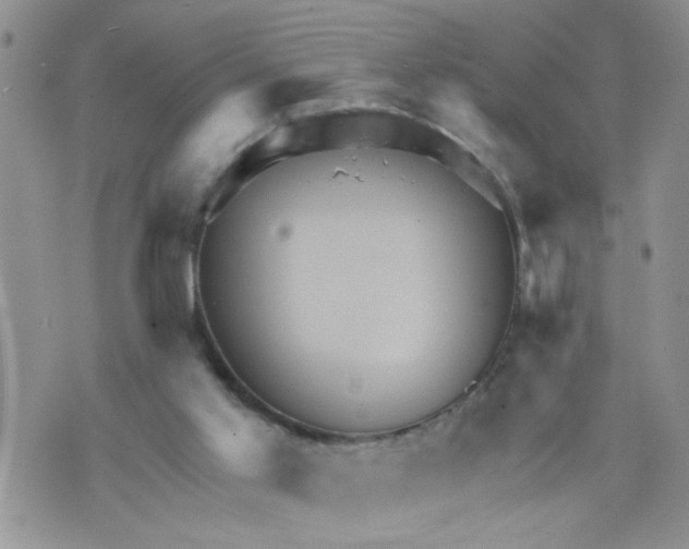 X0000073730013200608311856