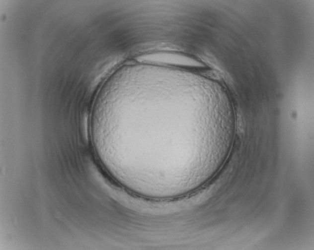 X0000073730014200608311856