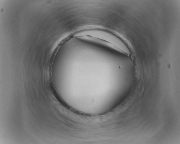 X0000073730015200608311856