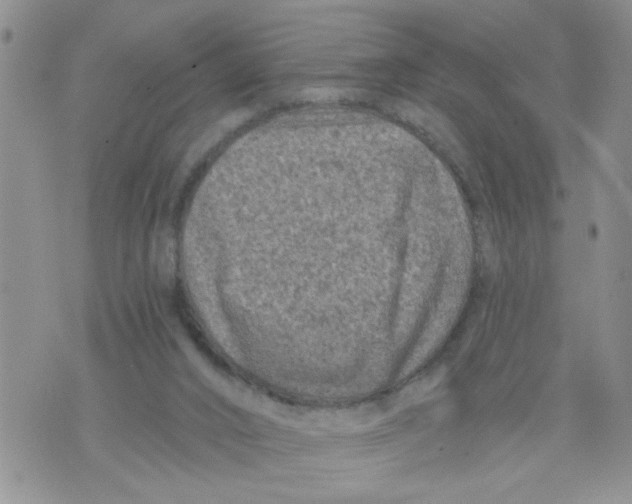 X0000073730016200608311856