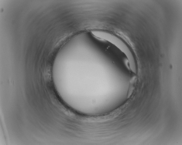 X0000073730017200608311856