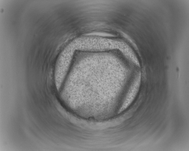 X0000073730018200608311856