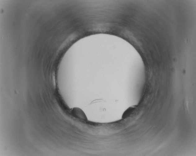 X0000073730020200608311856