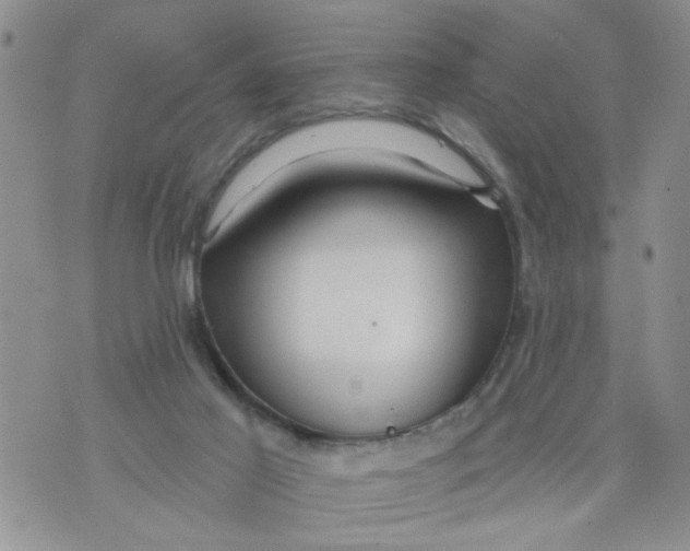 X0000073730021200608311856