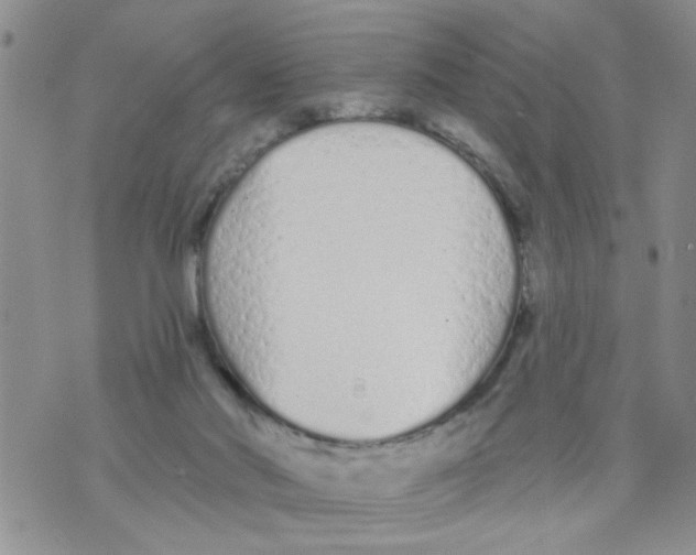 X0000073730022200608311856