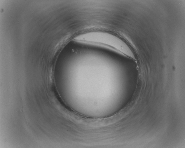 X0000073730023200608311856