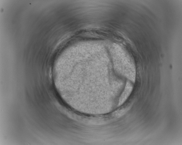 X0000073730024200608311856