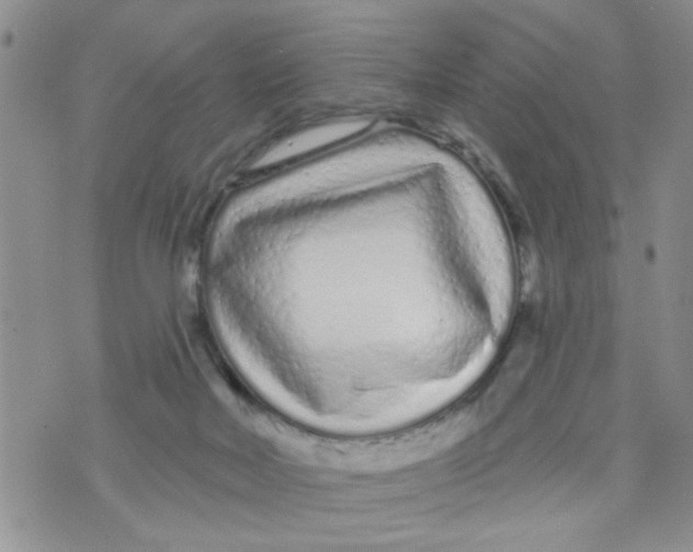 X0000073730026200608311856