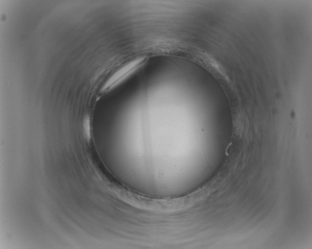 X0000073730027200608311856