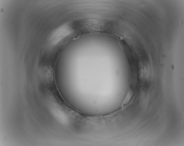 X0000073730029200608311856