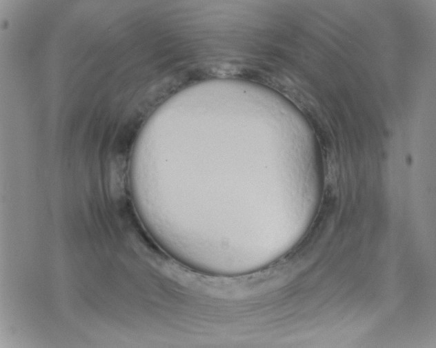 X0000073730030200608311856