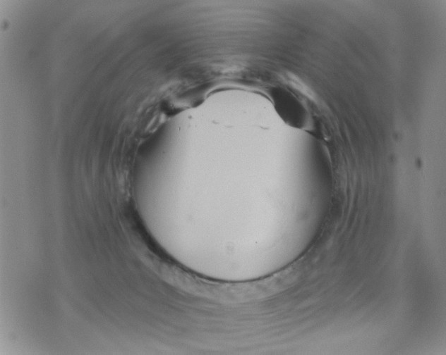 X0000073730031200608311856