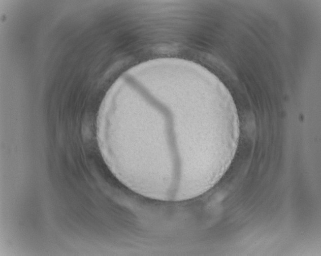 X0000073730032200608311856