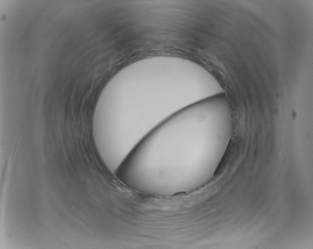 X0000073730033200608311856