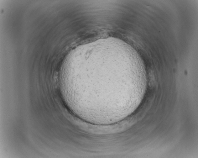 X0000073730034200608311856