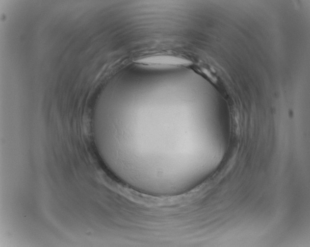 X0000073730035200608311856