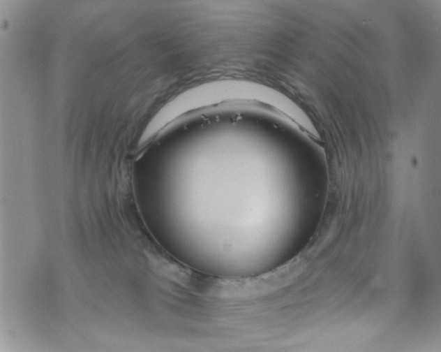 X0000073730037200608311856