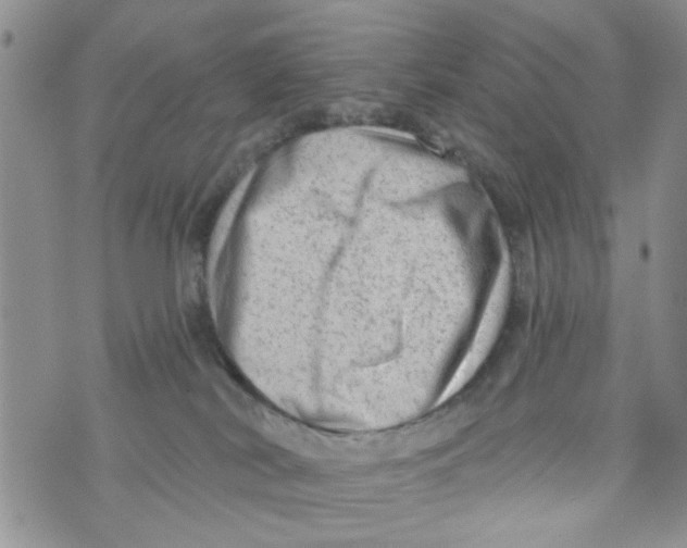 X0000073730038200608311856