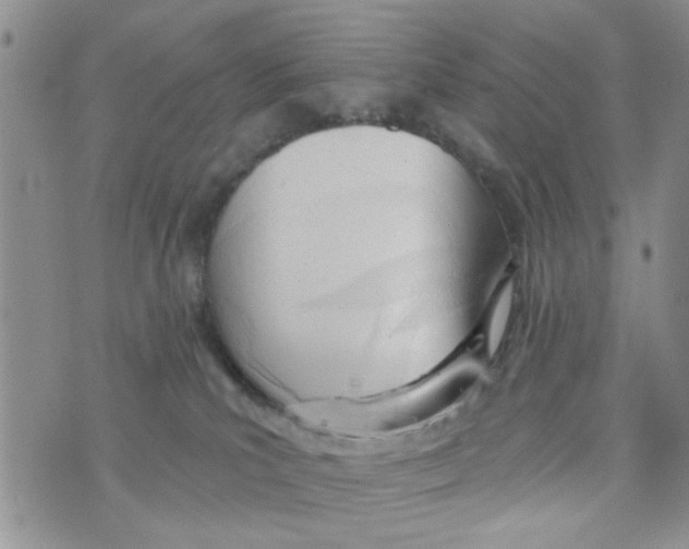 X0000073730039200608311856