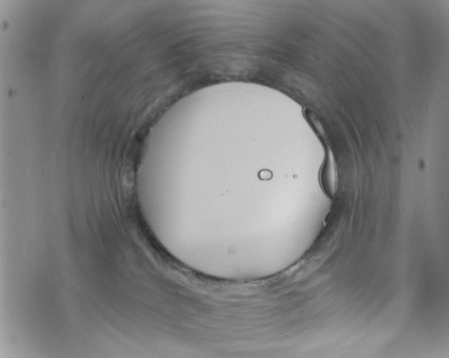 X0000073730040200608311856