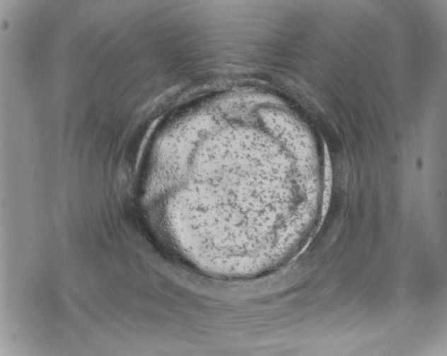 X0000073730043200608311856