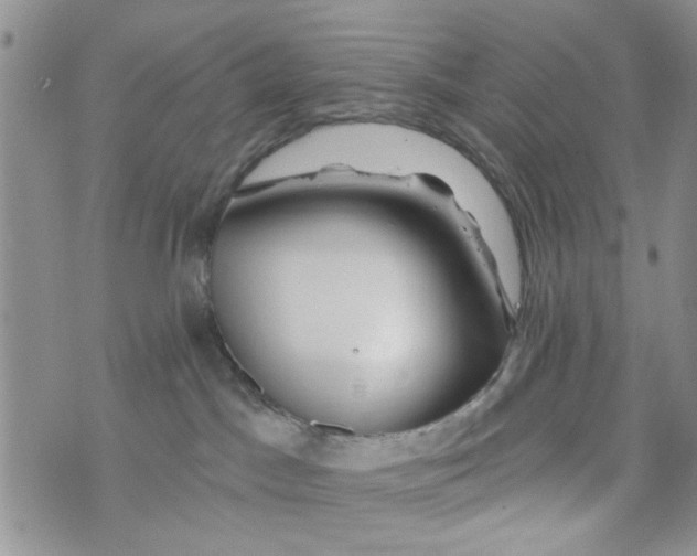 X0000073730045200608311856