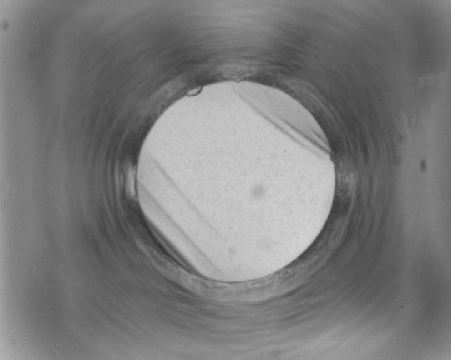 X0000073730046200608311856