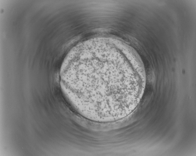 X0000073730047200608311856