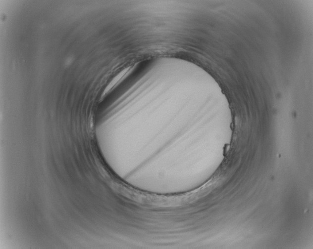 X0000073730048200608311856