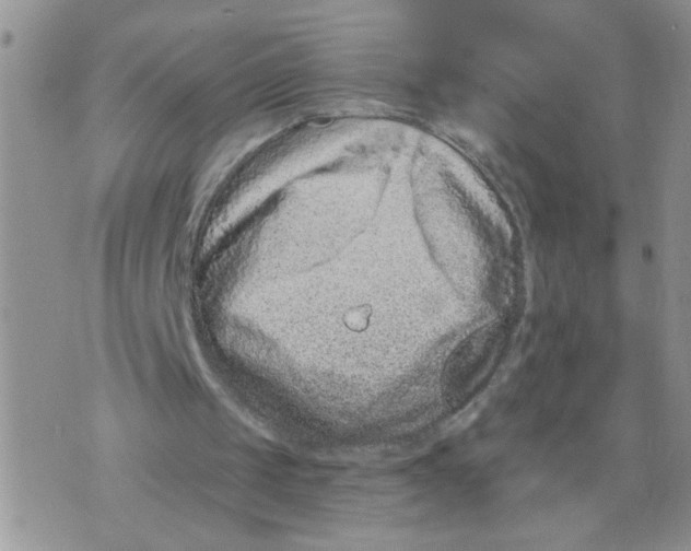 X0000073730049200608311855