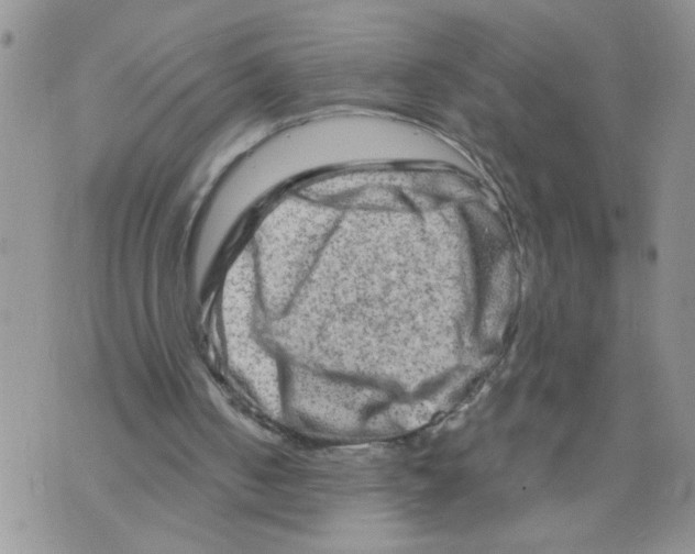 X0000073730050200608311855