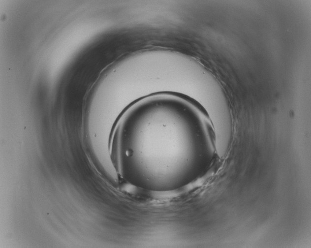 X0000073730052200608311855